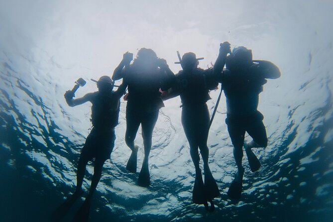 Discover Sosua's Underwater World & Beach Day - Should you book Discover Sosua’s Underwater World?