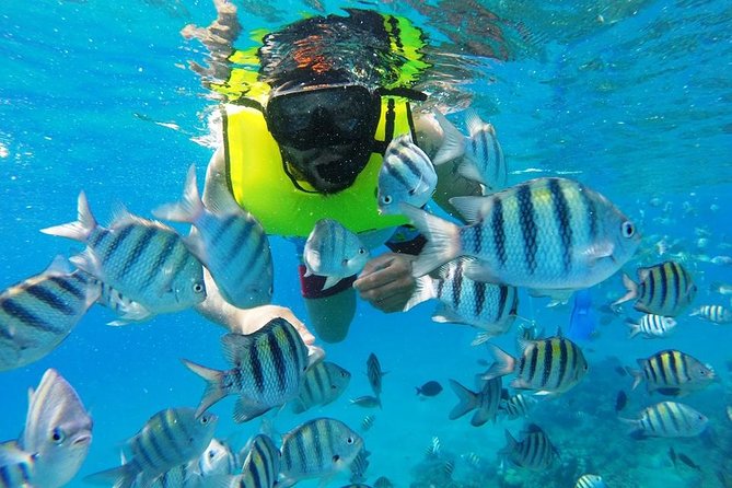 Discover Sosua's Underwater World & Beach Day - Second reef in Sosua Bay