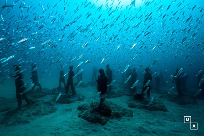Discover the underwater world of Lanzarote - Key points to know before booking