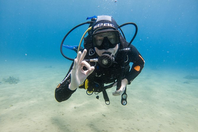Discover the underwater world of Lanzarote - What the $156.01 price includes