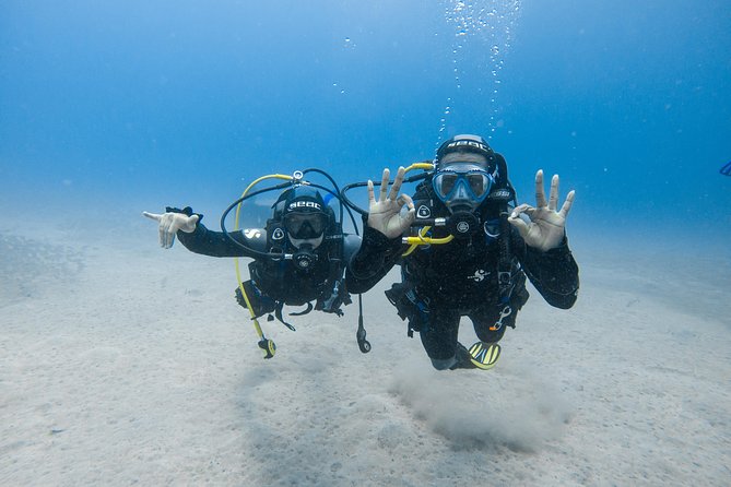 Discover the underwater world of Lanzarote - Who will get the most from this experience