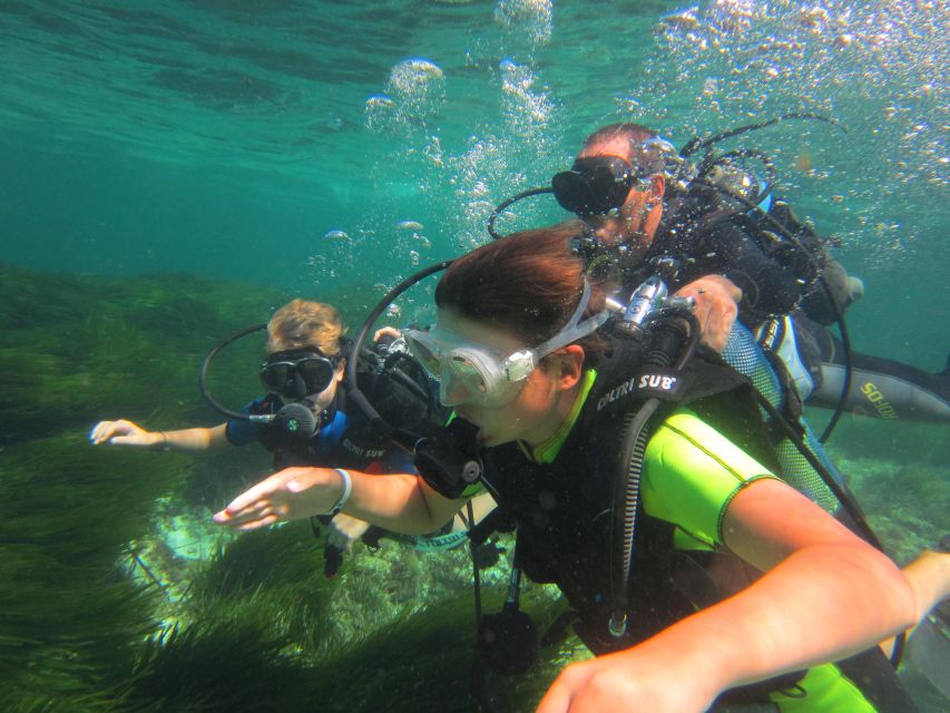 DISCOVER THE UNDERWATER WORLD, Scuba Diving Experience - What makes this first underwater session special