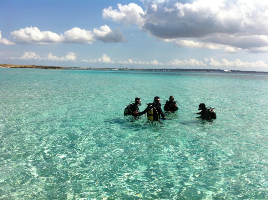 DISCOVER THE UNDERWATER WORLD, Scuba Diving Experience - Moving as if you are flying