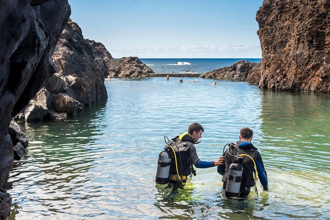 Diving in the Madeira Aquarium - The real appeal: an aquarium session with living creatures all around you