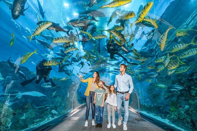 Dubai Aquarium and Underwater Zoo - The 48-meter tunnel is the main event