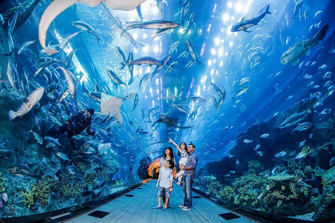 Dubai Aquarium and Underwater Zoo - Optional activities beyond the standard walk