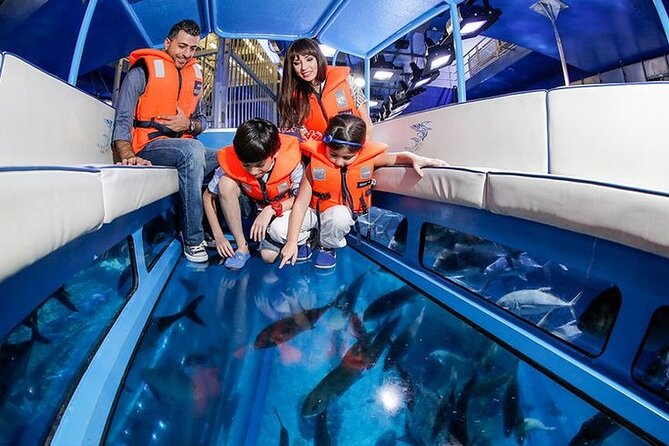 Dubai Aquarium and Underwater Zoo - Who will enjoy this most?