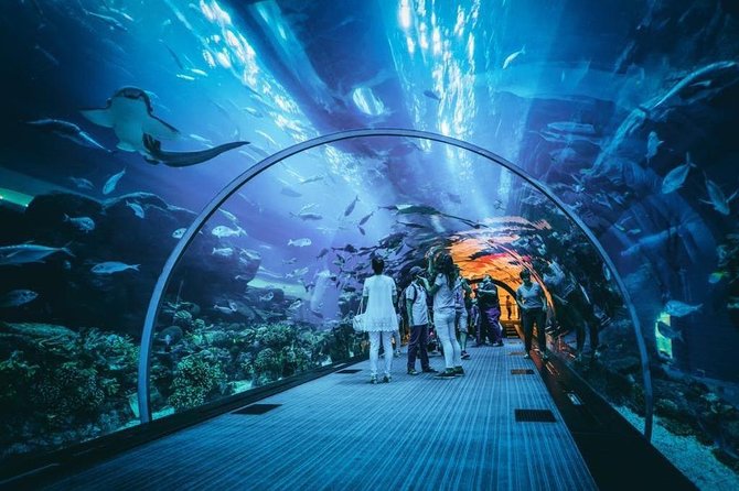Dubai Aquarium and Underwater Zoo Admission Ticket with Options - Timing your visit and allowing enough time