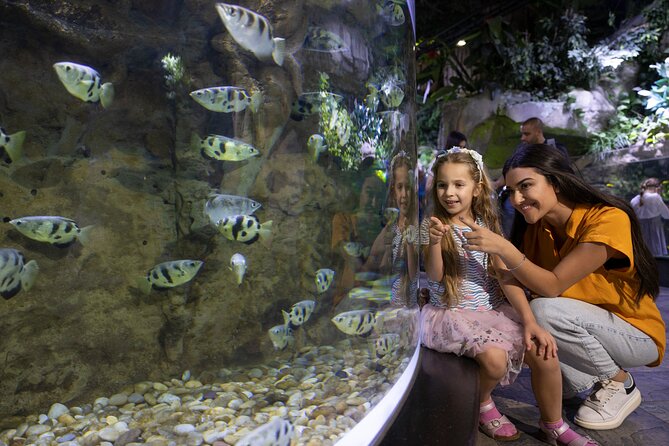Dubai Aquarium and Underwater Zoo Entrance Ticket - What is included, and what may cost extra