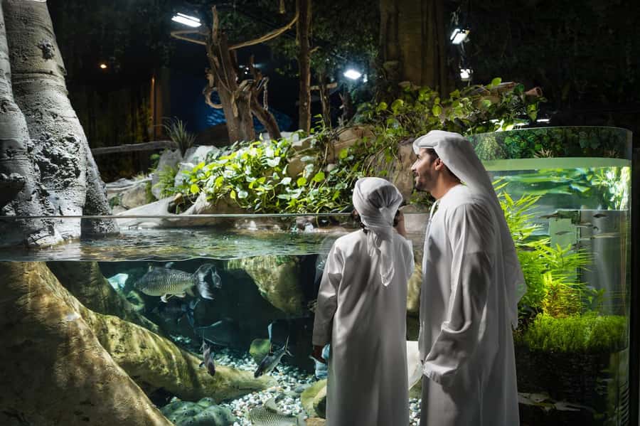 Dubai: Aquarium and Underwater Zoo Experience - Key points before you book