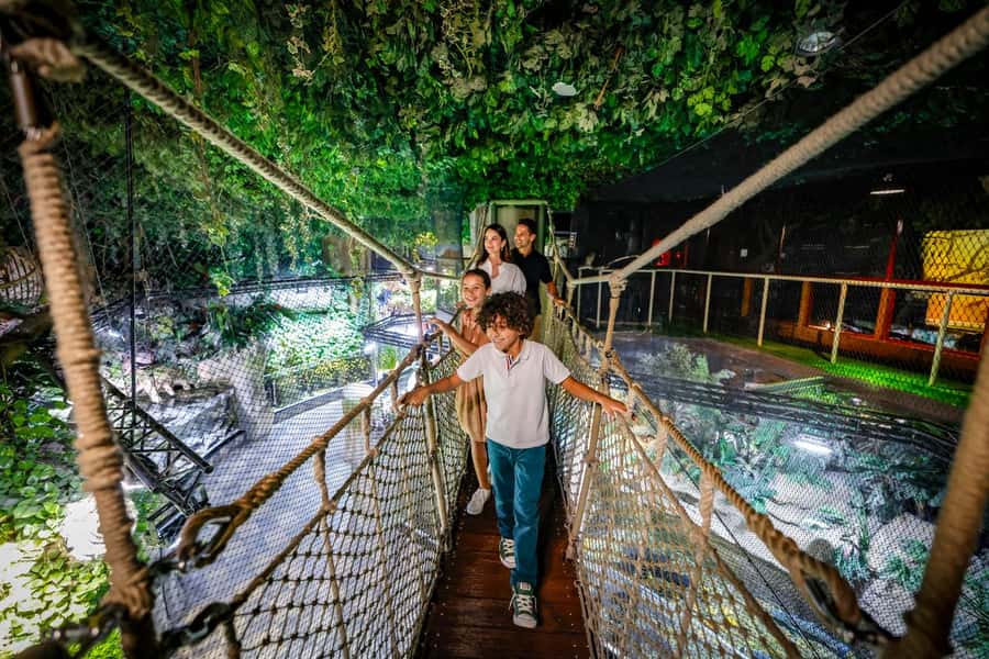 Dubai: Aquarium and Underwater Zoo Experience - The giant tank inside Dubai Mall