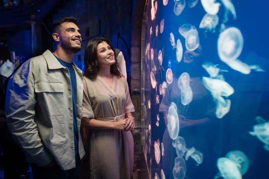 Dubai: Aquarium and Underwater Zoo Experience - Penguin Cove and close animal encounters