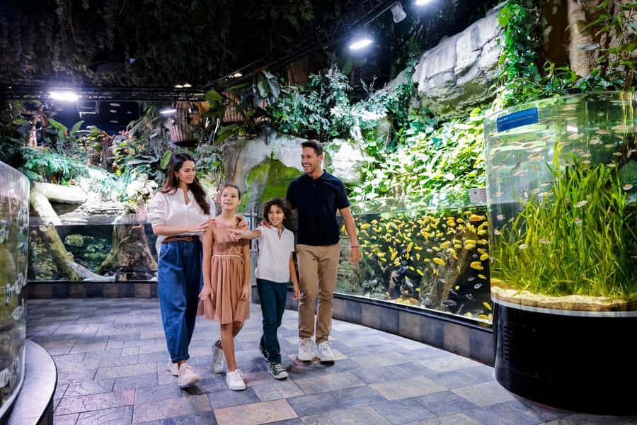 Dubai: Aquarium and Underwater Zoo Experience - Glass-bottom boat and fish feeding