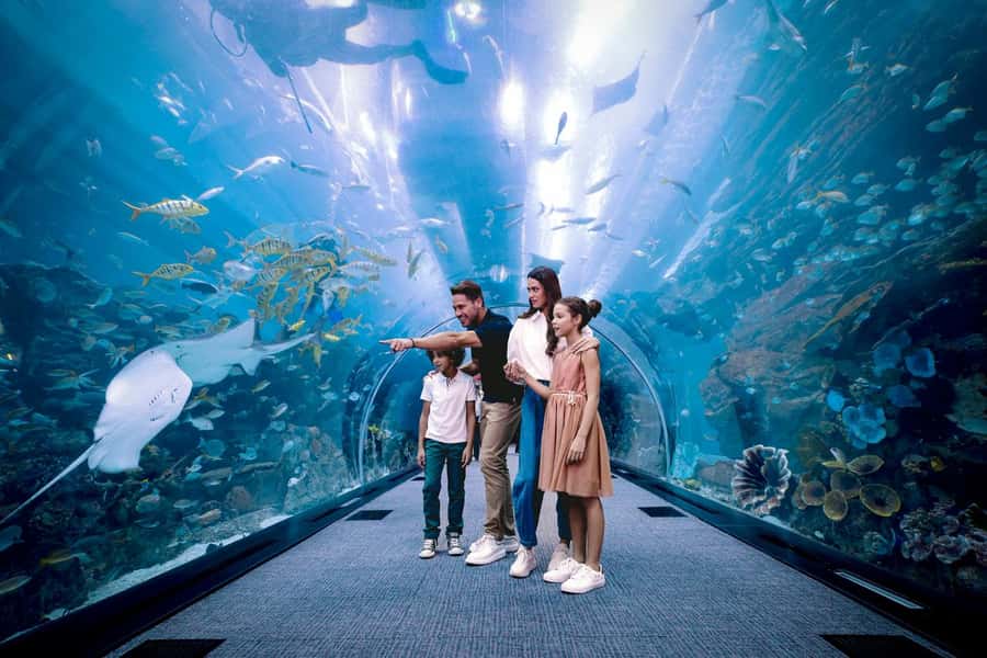 Visitors walking through an underwater viewing tunnel with rays overhead