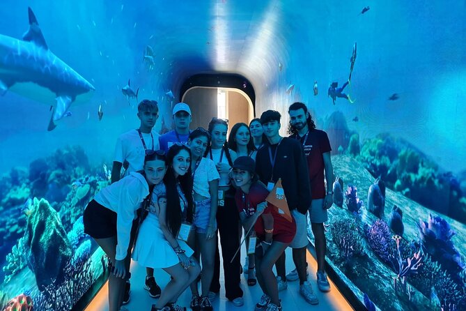 Dubai Aquarium And Underwater Zoo Tickets At Dubai Mall - Key points before you book