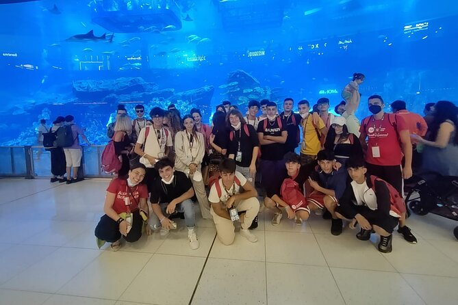 Dubai Aquarium And Underwater Zoo Tickets At Dubai Mall - Is $55.55 a fair price?
