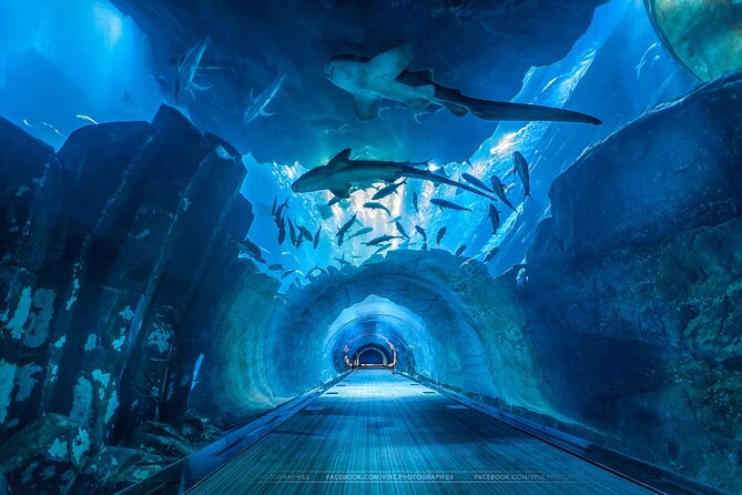 Dubai Aquarium and Underwater Zoo with Penguin Cove Tickets. - How long to allow
