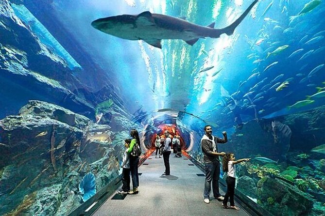 Dubai Aquarium and Underwater Zoo with Penguin Cove Tickets. - Should you book Dubai Aquarium and Underwater Zoo?
