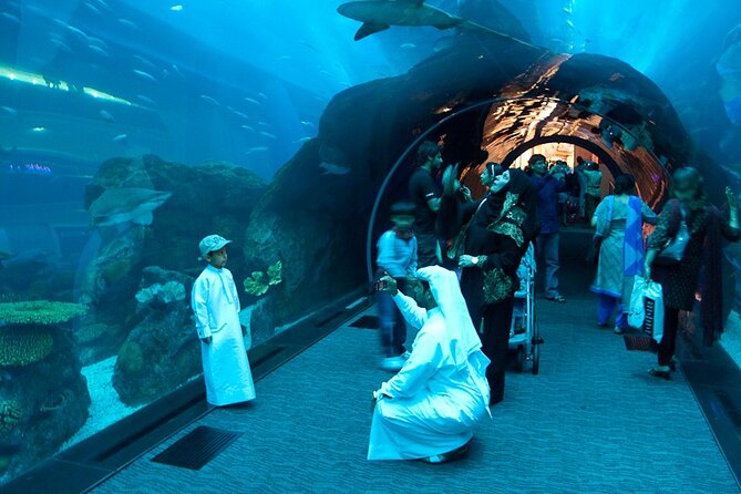 Dubai Aquarium and Underwater Zoo - Three zones, three different moods