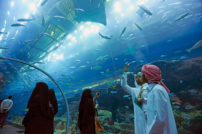 Dubai Aquarium + Penguin Cove Tickets with Transfers - How the two-hour visit fits into your day
