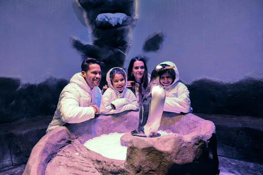 Dubai Aquarium + Sky Views Observatory Tickets - Planning the same-day visit