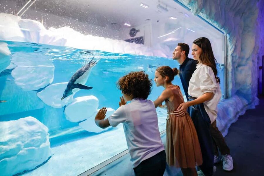 Dubai Aquarium + Sky Views Observatory Tickets - Who will enjoy this combo most
