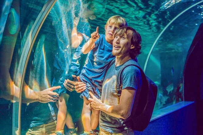 Dubai Aquarium & Underwater Zoo - Is the $51.89 price good value?