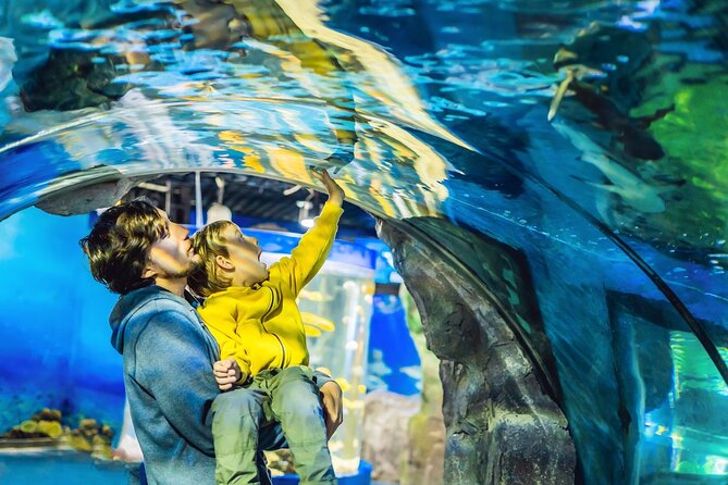 Dubai Aquarium & Underwater Zoo Entrance Ticket - The main aquarium inside Dubai Mall