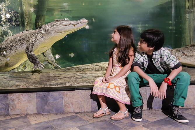 Dubai Aquarium & Underwater Zoo Entrance Ticket - Small details worth slowing down for