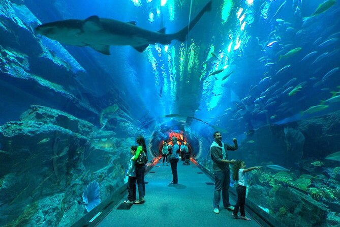 Dubai Aquarium & Underwater Zoo with Penguin Cove - What the Dubai Aquarium experience is really like