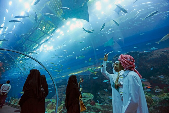 Dubai Aquarium & Underwater Zoo with Penguin Cove - Glass-bottom boats and close-up animal viewing