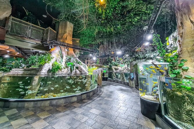 Dubai Aquarium UnderwaterZoo and Penguin cove Admission Ticket - The giant tank gives you an immediate preview