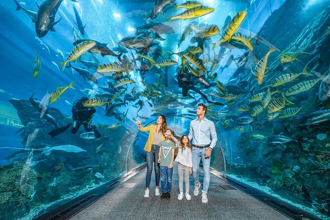 Dubai Aquarium UnderwaterZoo and Penguin cove Admission Ticket - How long the visit takes