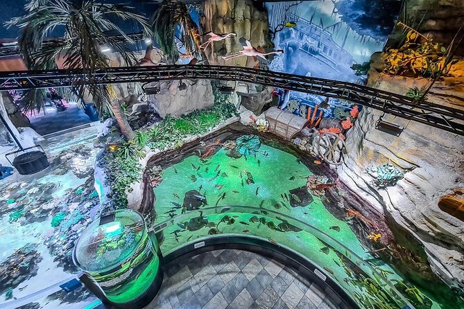 Dubai Aquarium UnderwaterZoo and Penguin cove Admission Ticket - Is $48 a fair price?