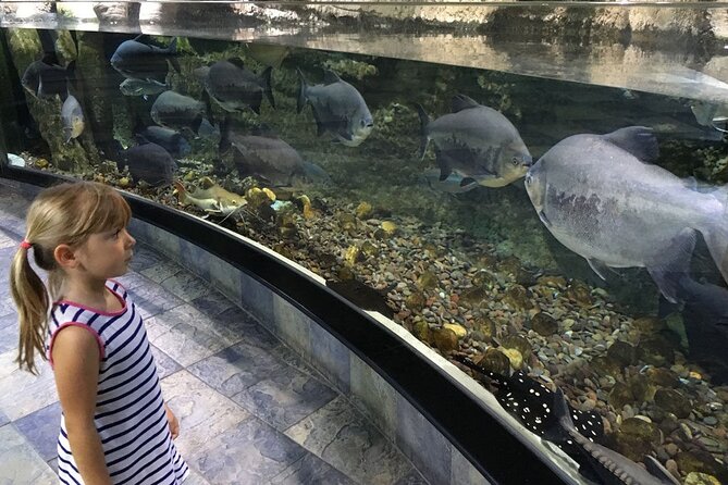 Dubai Aquarium UnderwaterZoo and Penguin cove Admission Ticket - Who will enjoy this aquarium most?