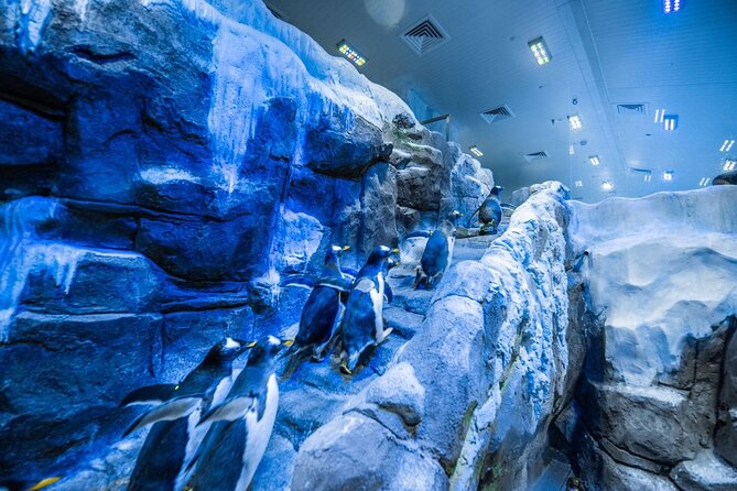 Dubai Aquarium with Various Animal Encounter and Access Options - Choosing the right ticket