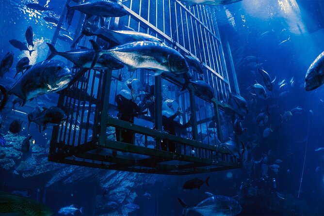 Dubai Aquarium with Various Animal Encounter and Access Options - The voucher instructions are unusually important