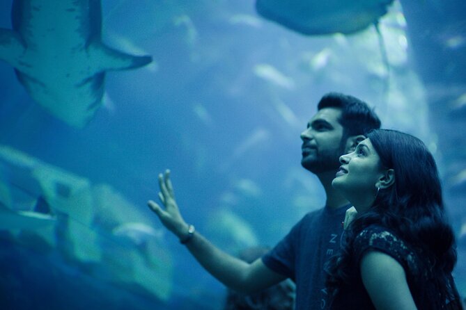 Dubai Aquarium with Various Animal Encounter and Access Options - Who will enjoy this most