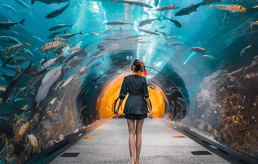 Dubai: City Tour with Burj Khalifa and Underwater Zoo Ticket - Burj Khalifa: plan the timing before you pay