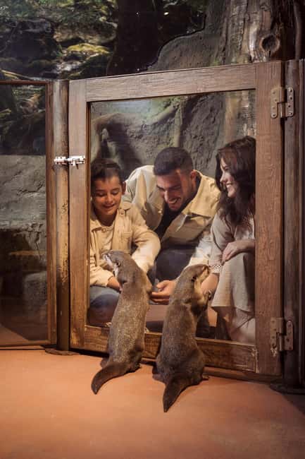 Dubai Iconic Burj Khalifa + Aquarium + Sky Views Ticket - How to arrange the day inside Dubai Mall