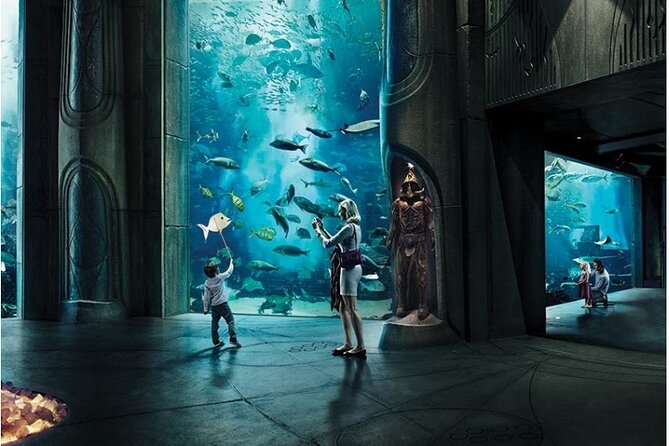 Dubai Lost Chambers Aquarium Admission E-Ticket - The Atlantis setting gives this aquarium its appeal