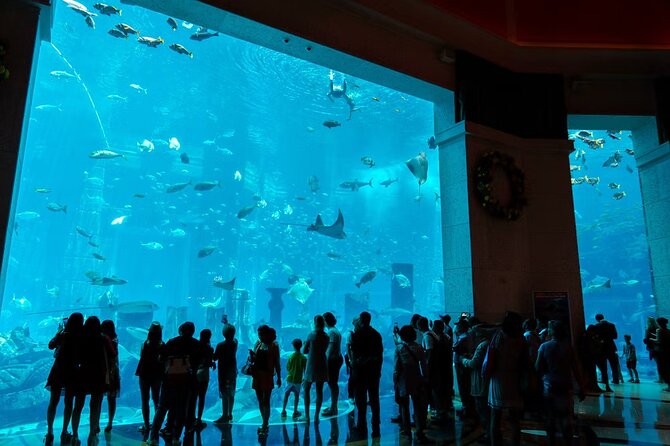 Dubai Lost Chambers Aquarium Admission E-Ticket - How long should you allow?