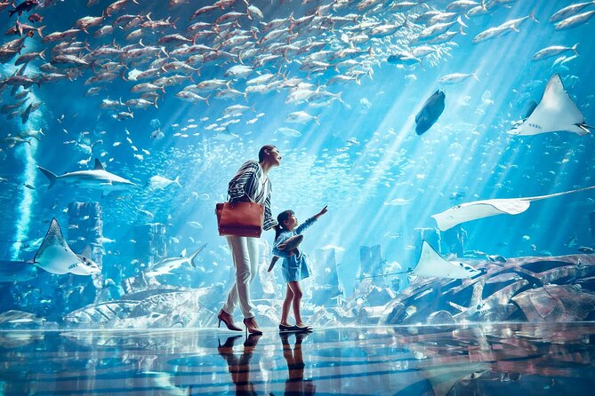 Dubai Lost Chambers Aquarium Admission E-Ticket - Who will enjoy the Lost Chambers most?