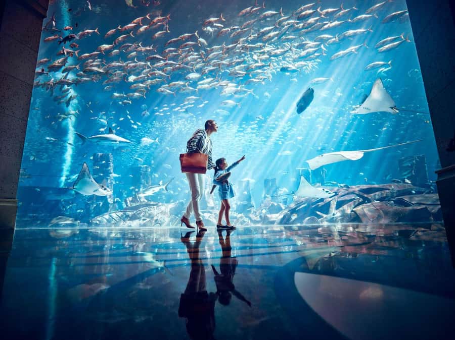 Dubai: Lost Chambers Aquarium Entry Ticket - A smart way to plan the timed programs