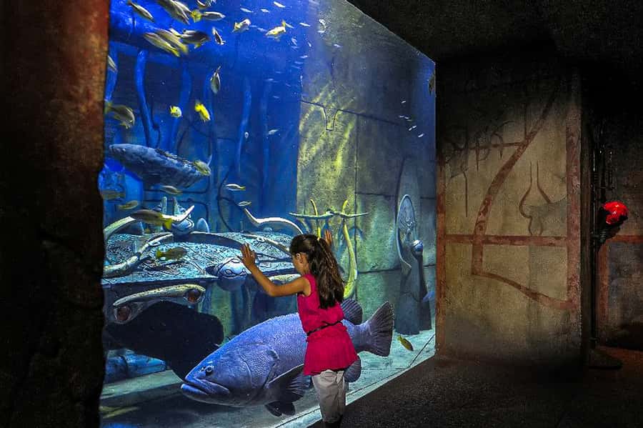 Dubai: Lost Chambers Aquarium Entry Ticket - Practical timing, entry, and small details