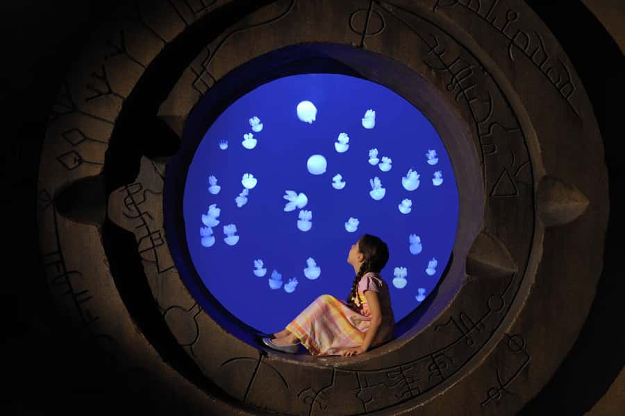 Dubai: Lost Chambers Aquarium Entry Ticket - The 21 exhibits and what you will see
