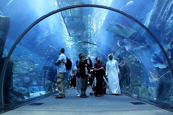 Dubai Mall Aquarium and Underwater Zoo Ticket - A giant aquarium inside Dubai Mall