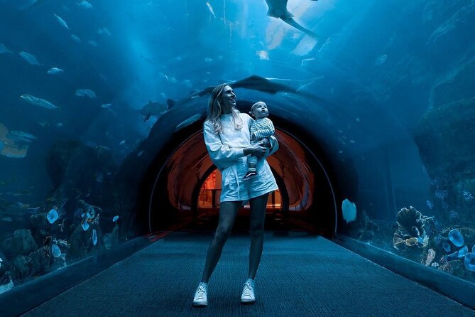 Dubai Mall Aquarium and Underwater Zoo Ticket - Who will enjoy this experience most?