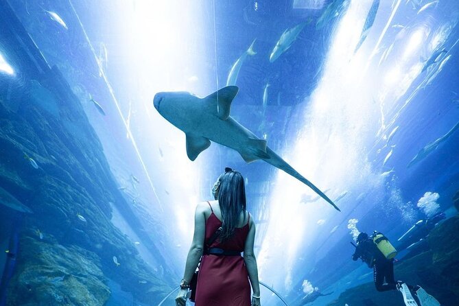 Dubai Mall Aquarium and Underwater Zoo Ticket - Transport, timing, and planning