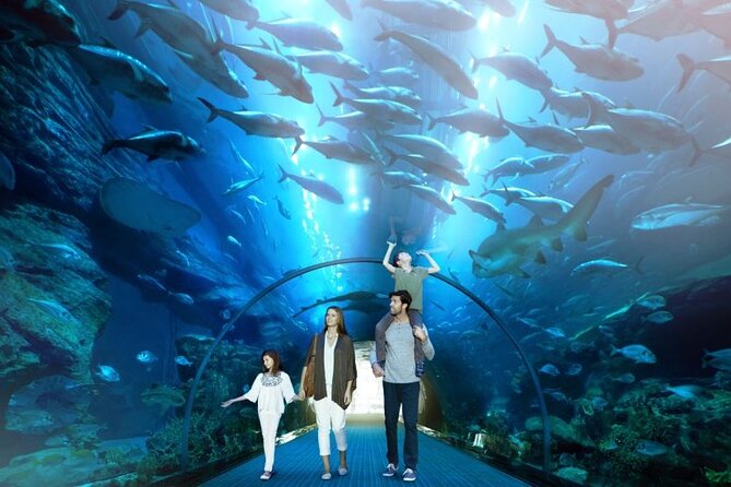 Dubai Mall Aquarium and Underwater Zoo Ticket - The Aquarium Tunnel and its 270-degree view